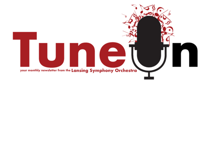LSO Newsletter Logo