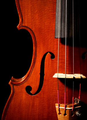 violin 