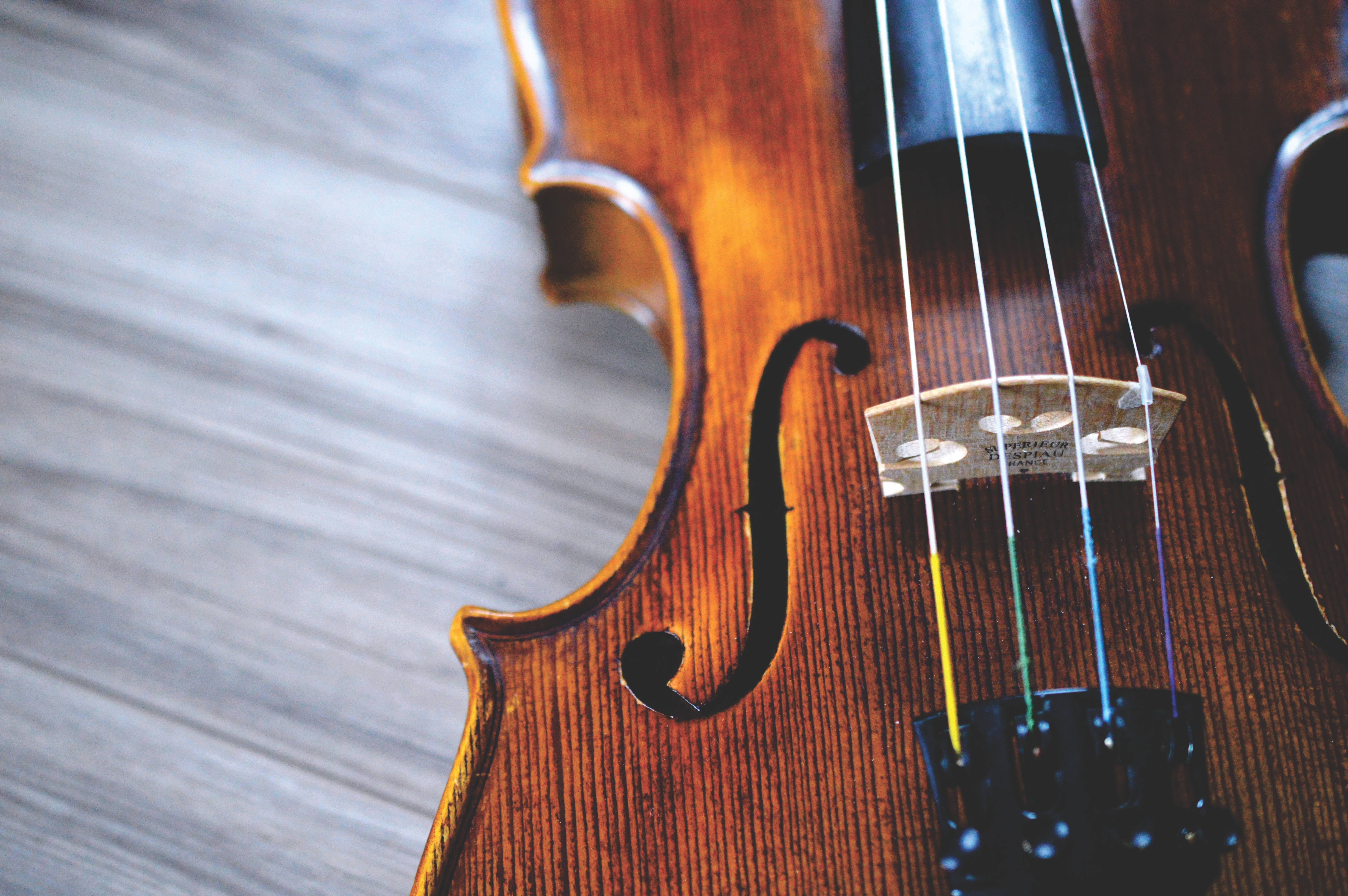 Violin Image