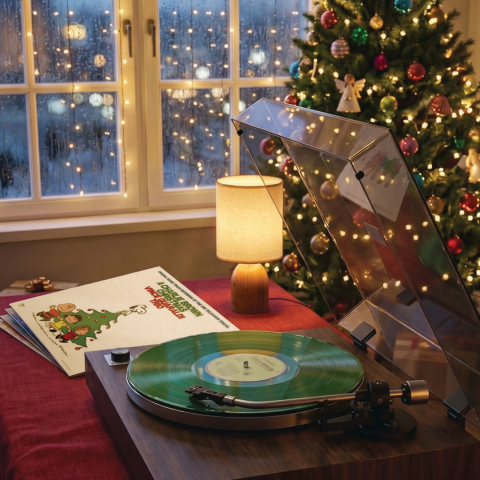 Home for the Holidays